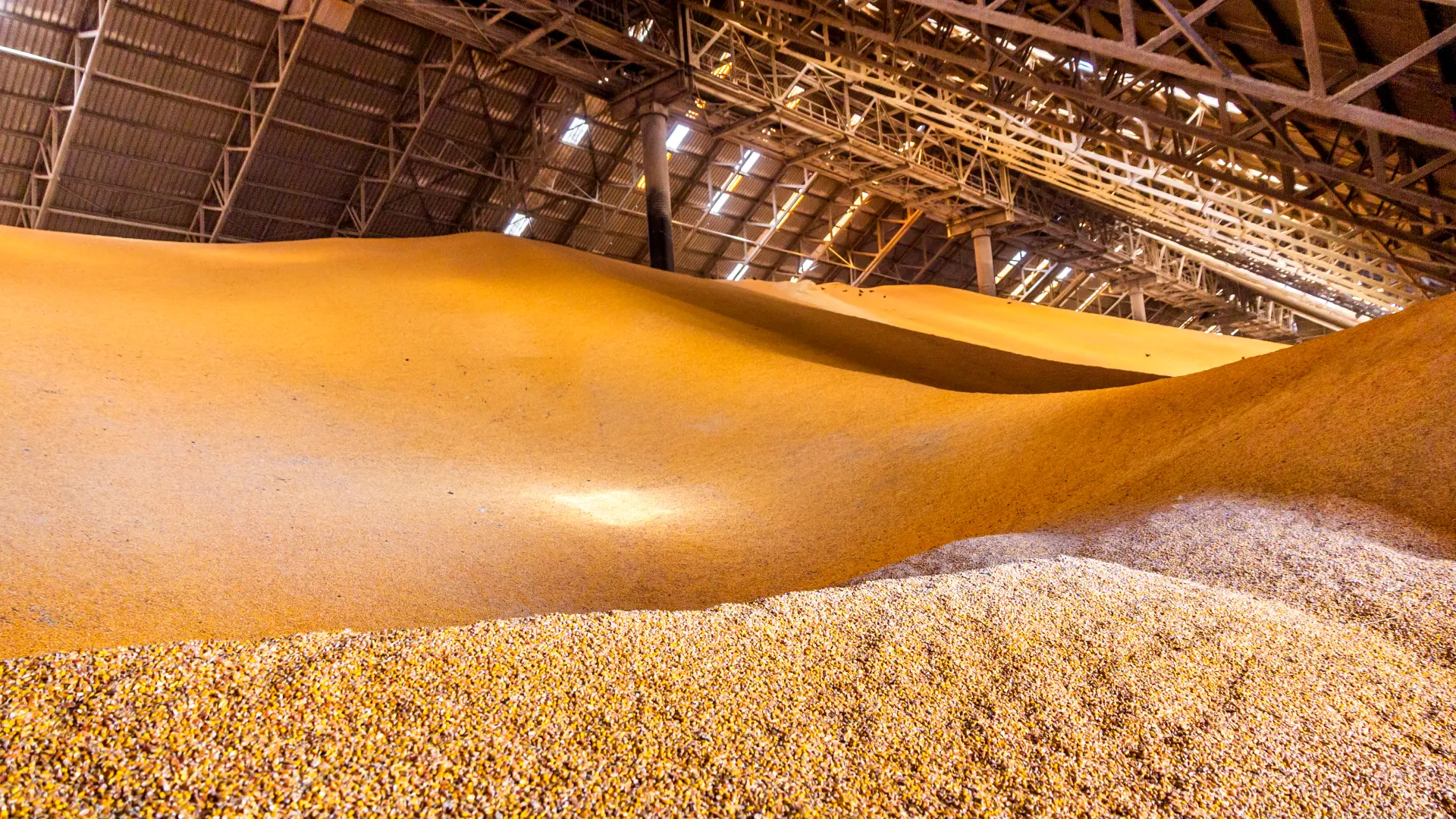 Grain storage facility