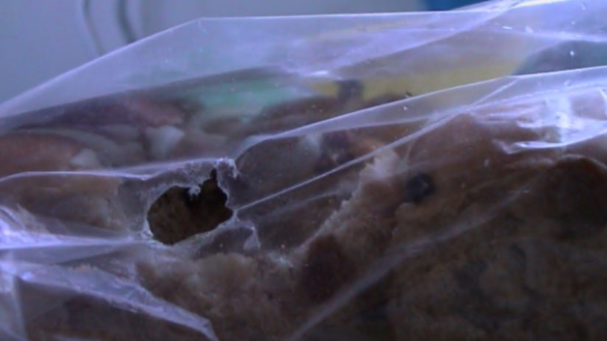 Chew marks from mice on stored material