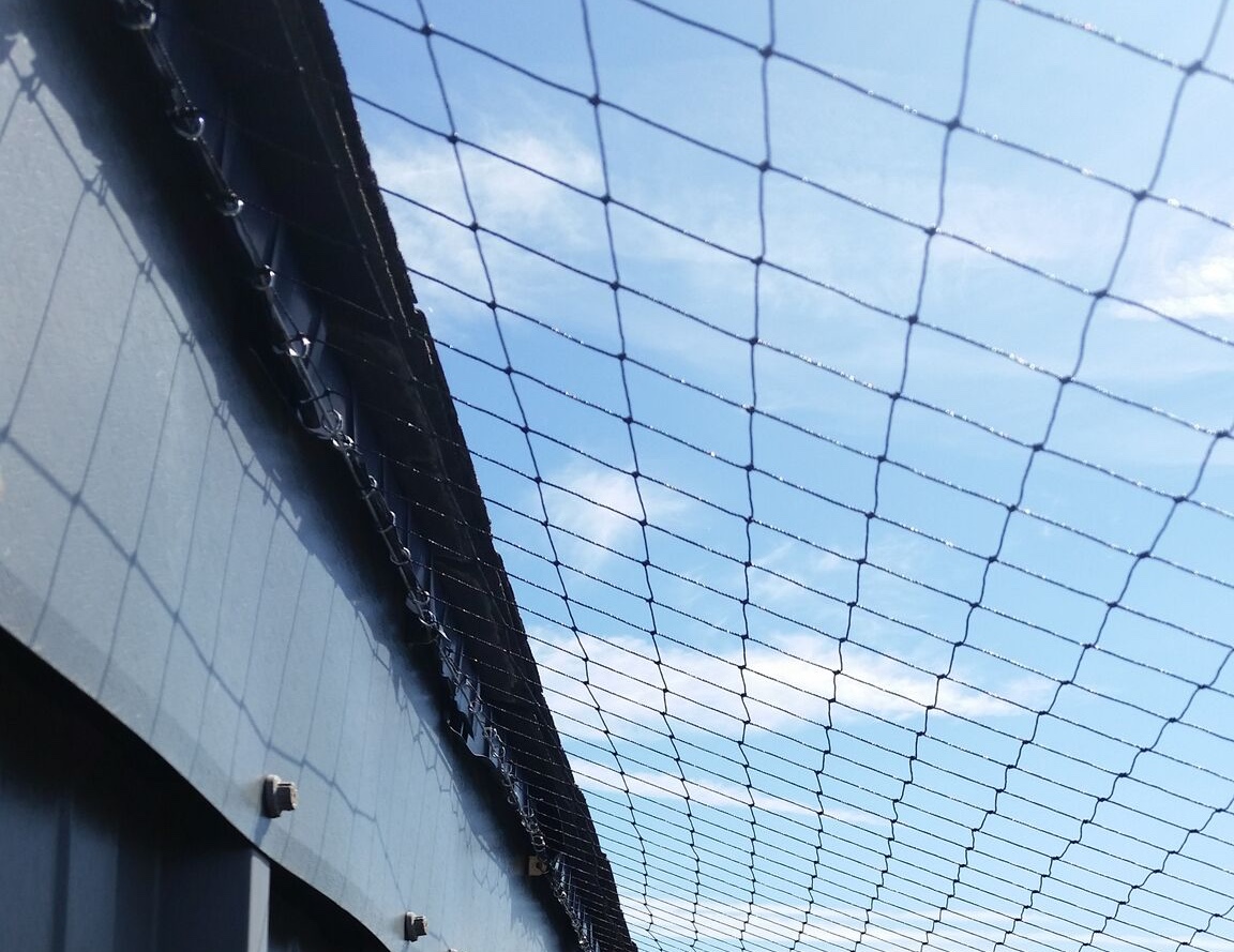 Bird netting installed across a roof